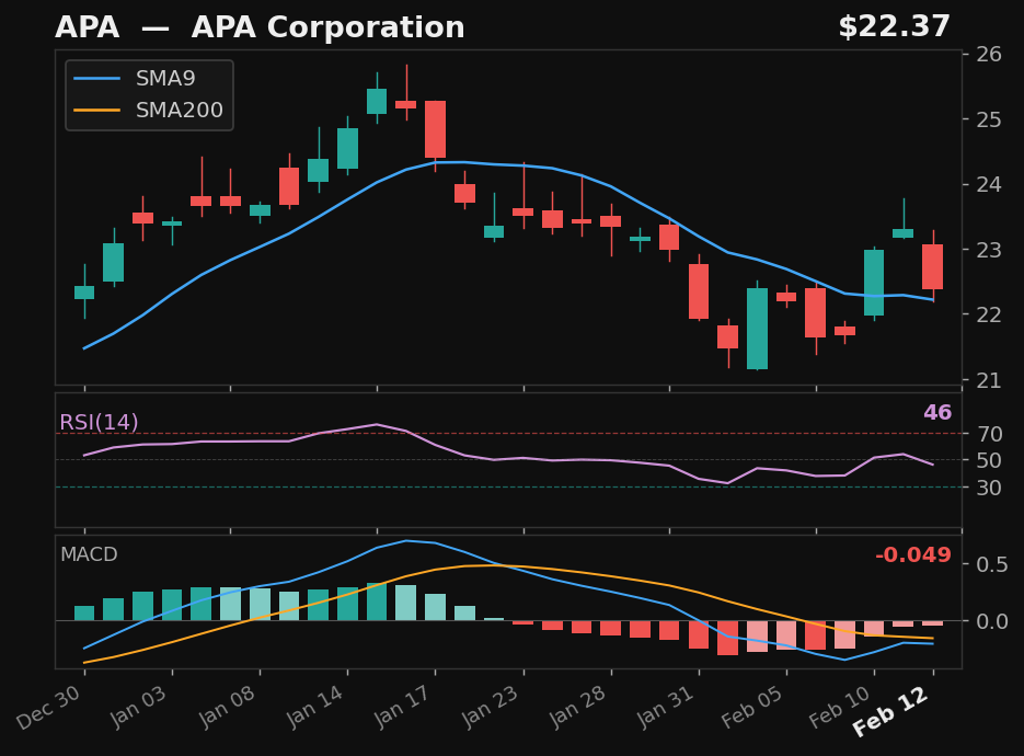 APA chart