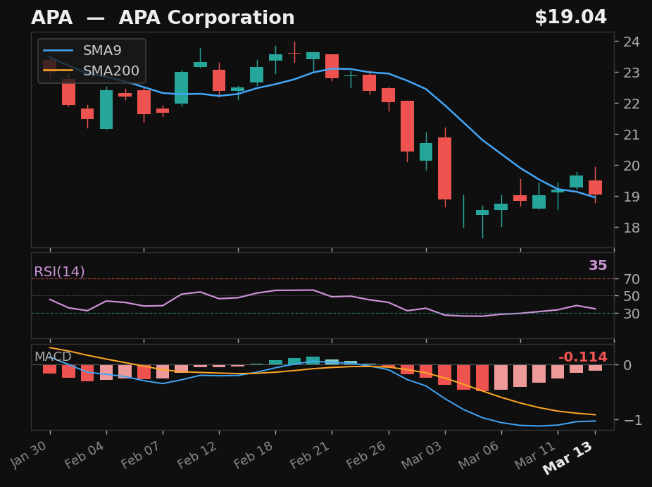 APA chart