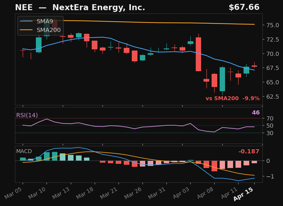 NEE chart