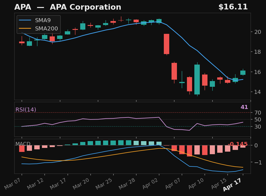 APA chart