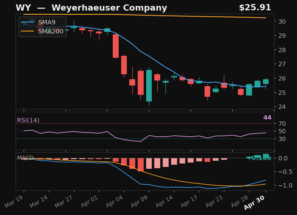WY chart