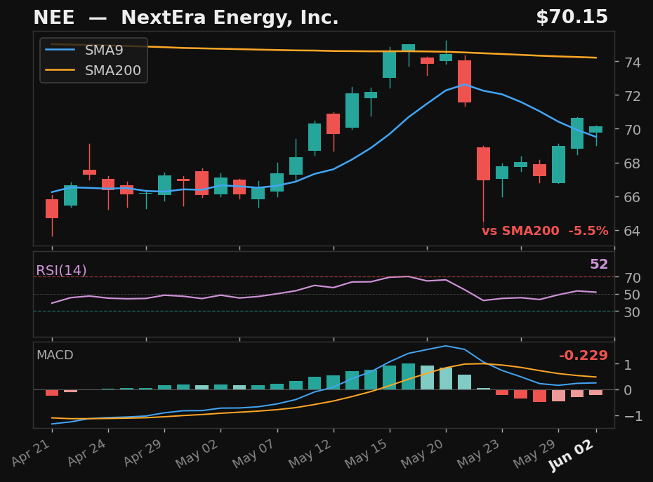 NEE chart