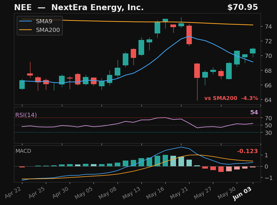 NEE chart