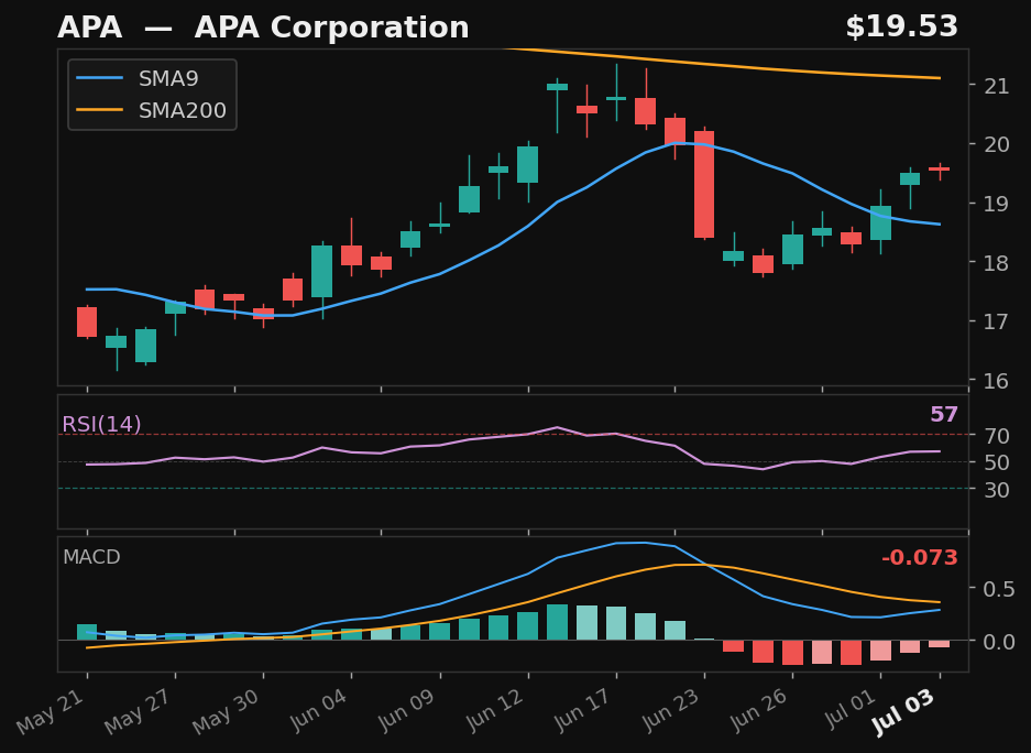 APA chart