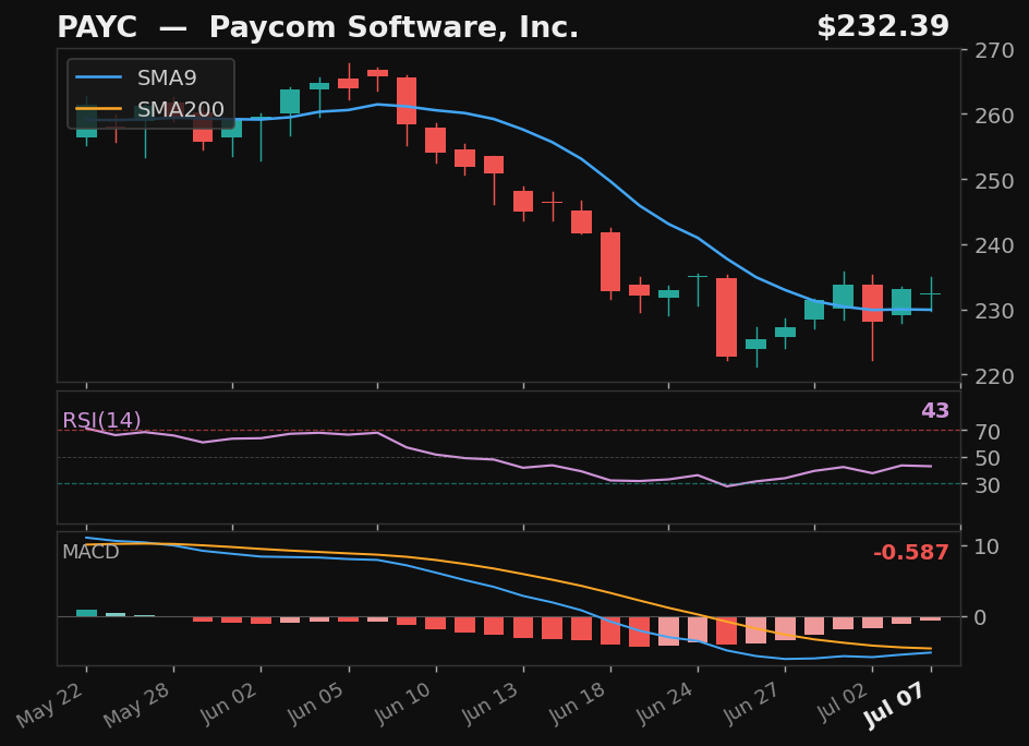 PAYC chart