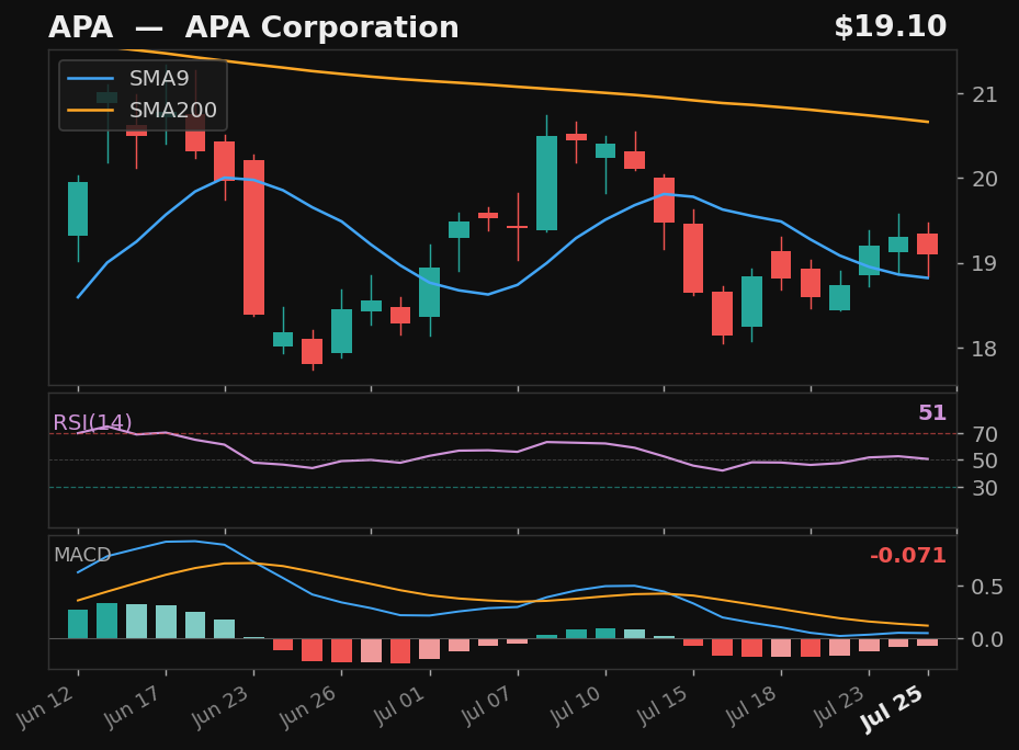 APA chart