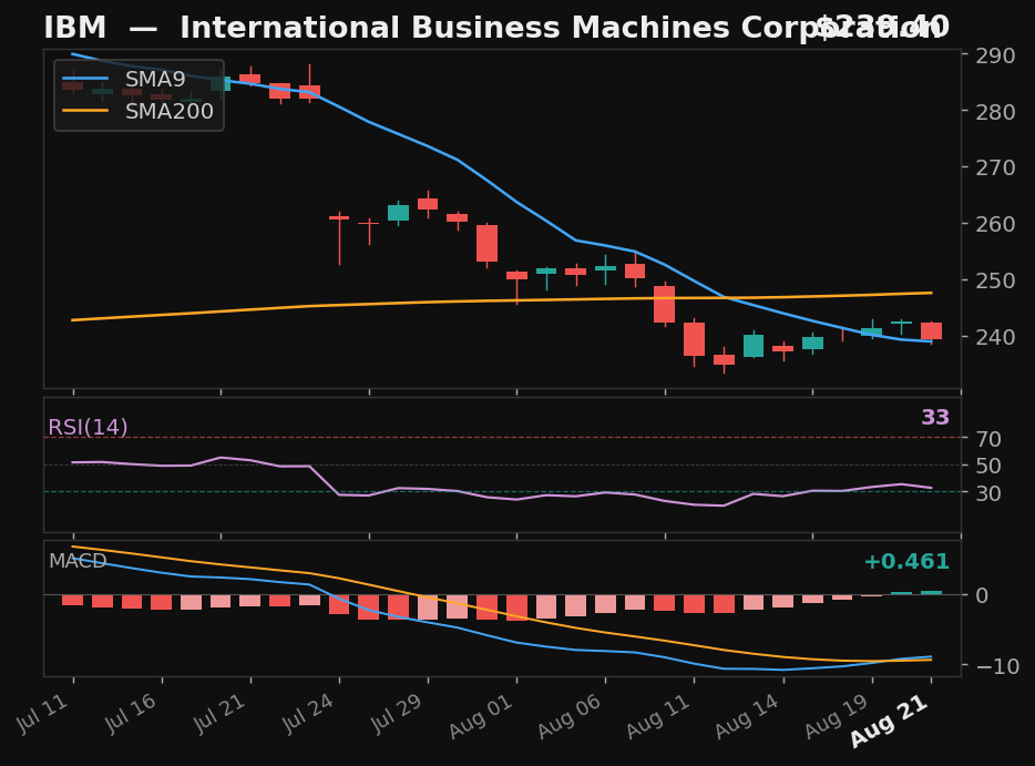 IBM chart
