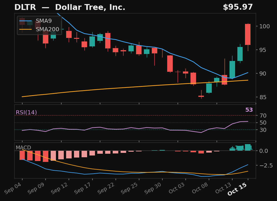 DLTR chart