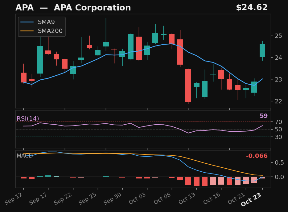 APA chart