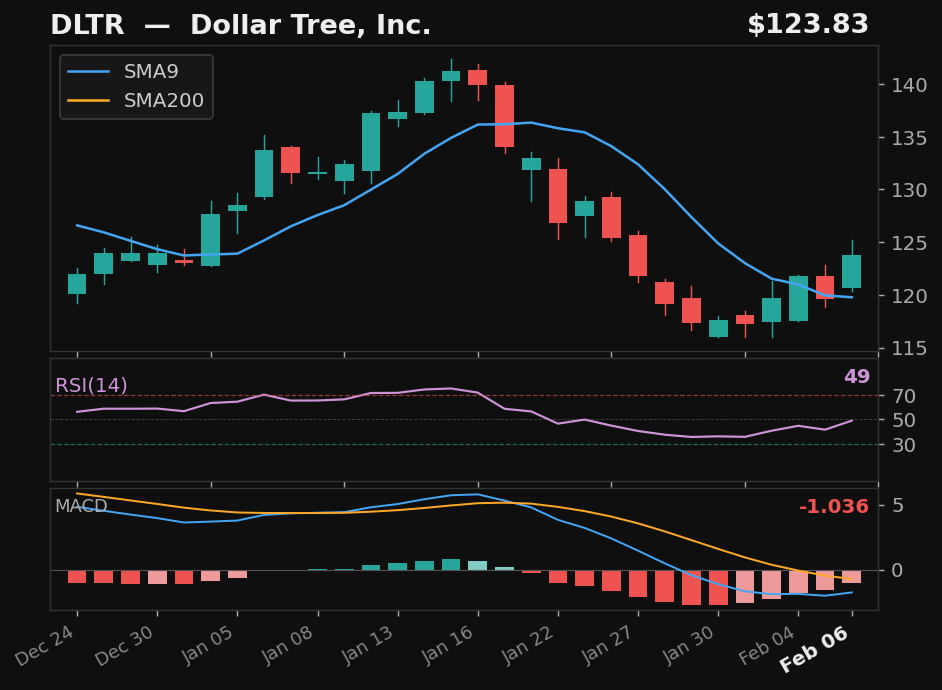 DLTR chart