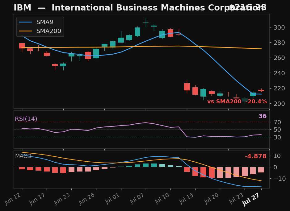 IBM chart
