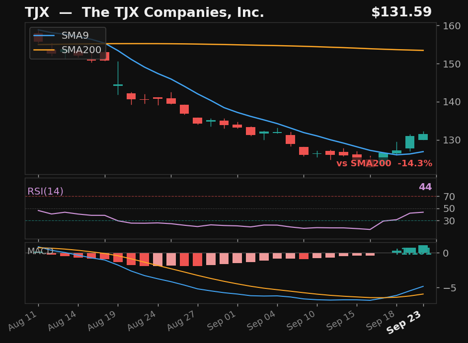 TJX chart