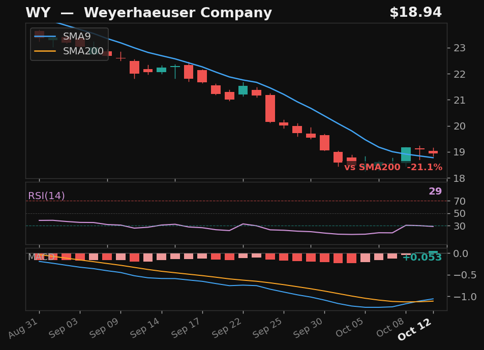 WY chart